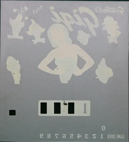 Plexiglas Backglass - Reverse