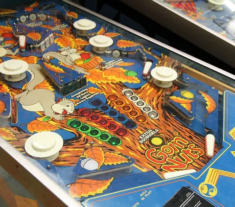 Lower Playfield