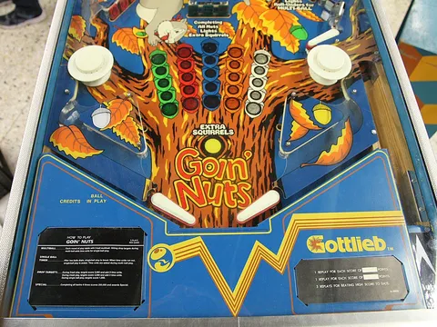 Lower Playfield