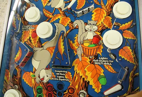 Middle Playfield