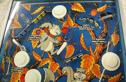Upper Playfield