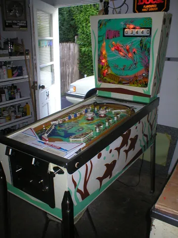 Full View*
