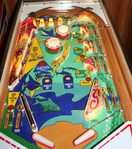 Illuminated Playfield