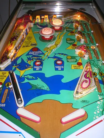 Illuminated Playfield*
