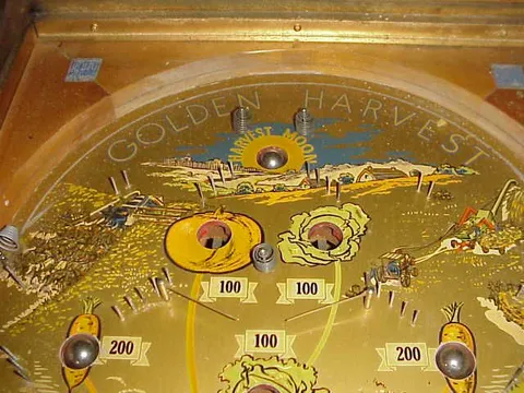 Upper Playfield