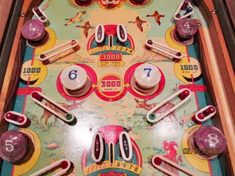 Middle Playfield