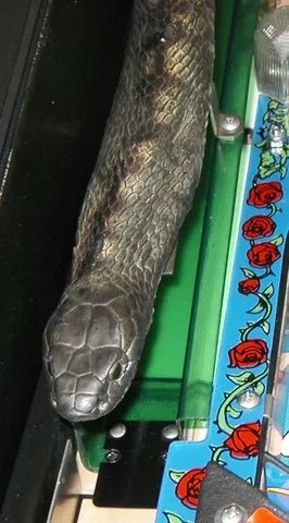 Sample Game - Snake*