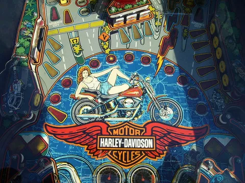 Middle Playfield*