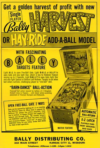 Flyer
