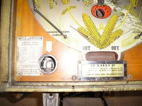 Lower Playfield