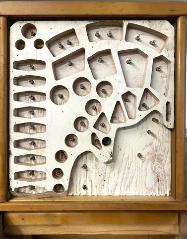 Backbox - Insert