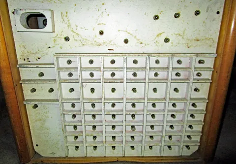 Backbox Insert*