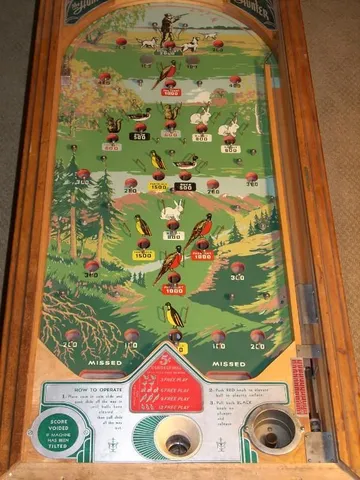 Playfield*