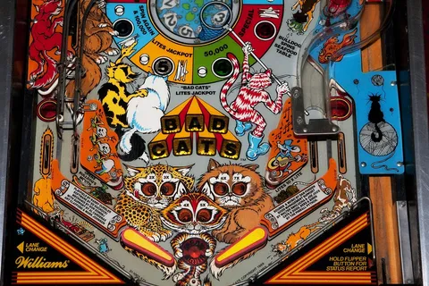 Lower Playfield