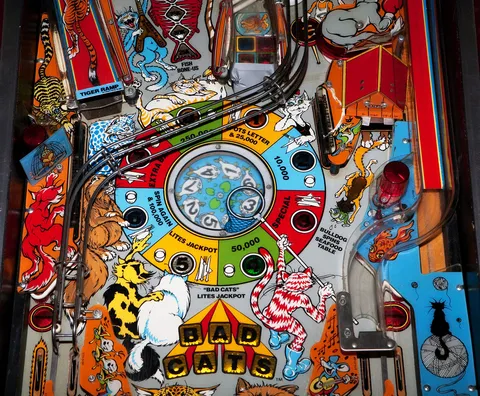 Middle Playfield