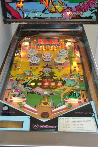 Illuminated Playfield*