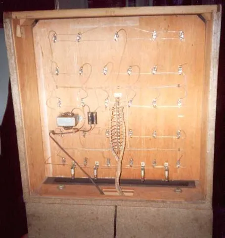 Inside Backbox