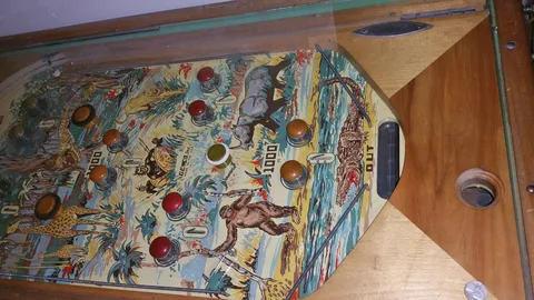 Lower Playfield