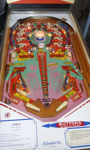 Playfield*