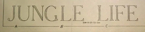 Schematic Model Number