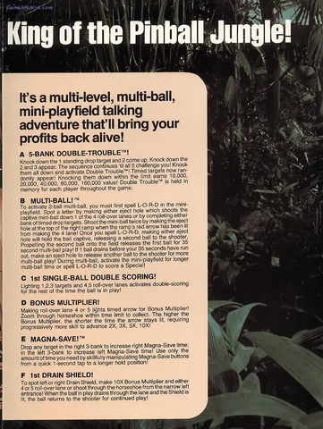 Flyer - Page 3