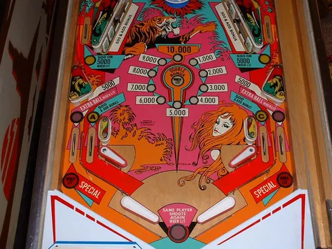 Lower Playfield