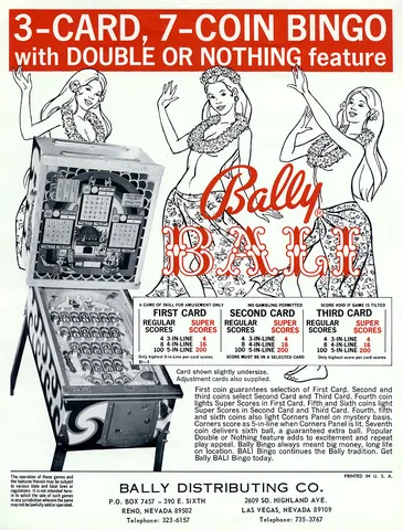 Flyer
