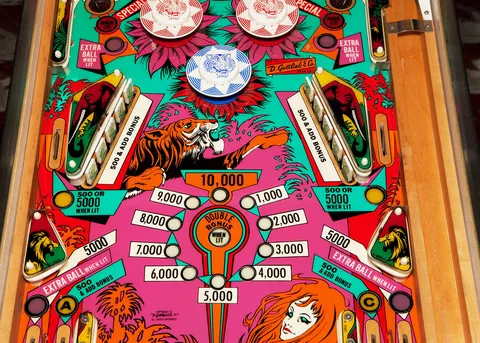 Middle Playfield
