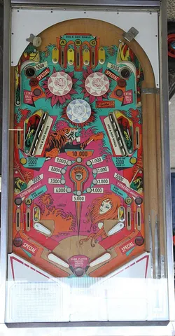 Playfield