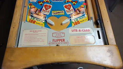 Illuminated Lower Playfield*
