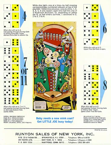 Flyer, Back