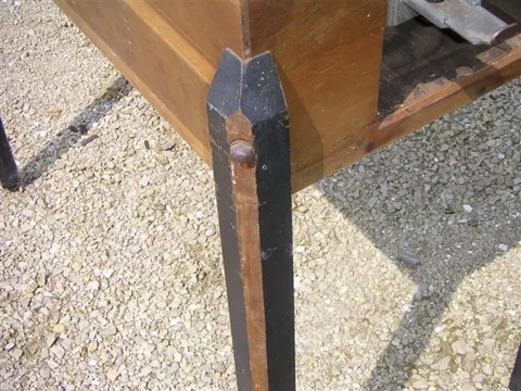 Leg