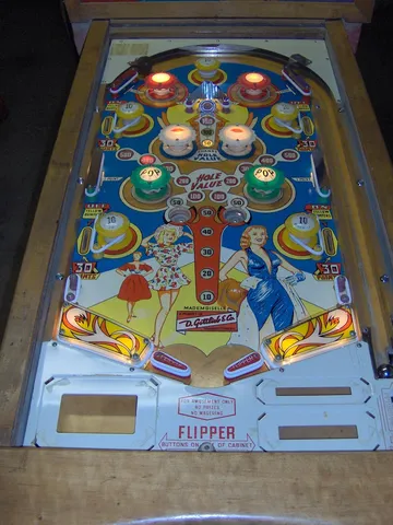 Illuminated Playfield*