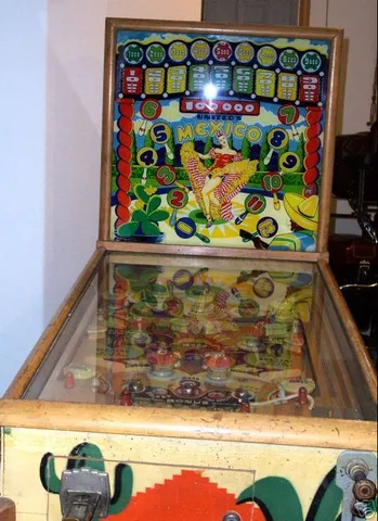 Front View (with retrofit flippers)