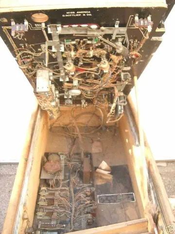 Inside Cabinet (with retrofit flippers)
