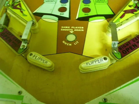 Flipper Area*