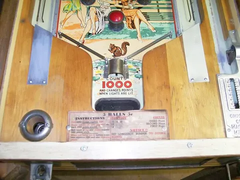 Lower Playfield