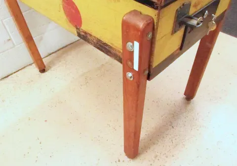 Leg