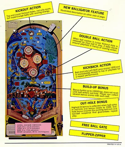 Flyer, Back