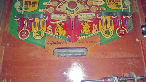 Lower Playfield*
