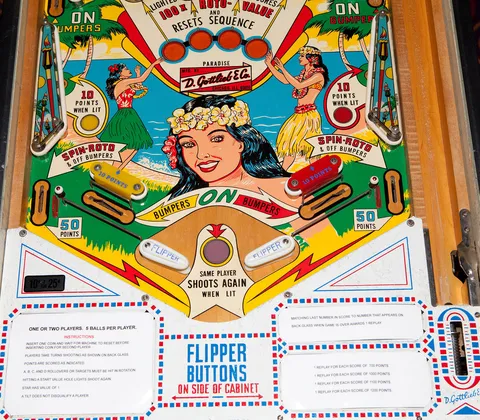 Lower Playfield