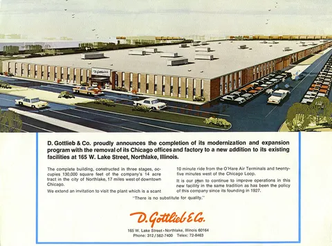 Flyer, Back