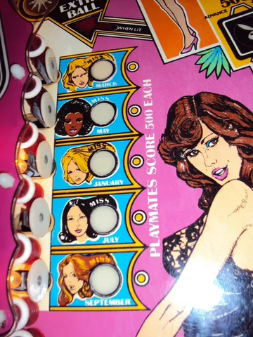Playmate Standup Targets