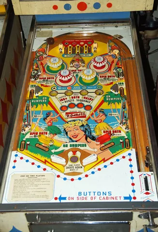 Playfield*
