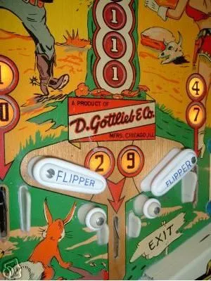 Flipper Area