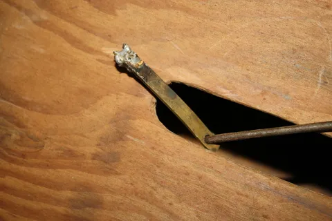 Detached Flipper Actuating Rod*