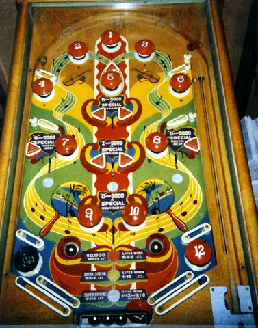 Playfield (with retrofit flippers)