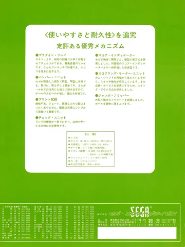 Japanese Flyer - Back