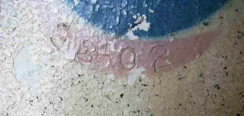 German Backbox Serial Number