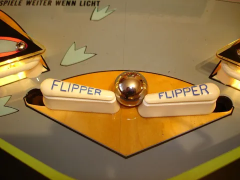 Zippered Flippers*